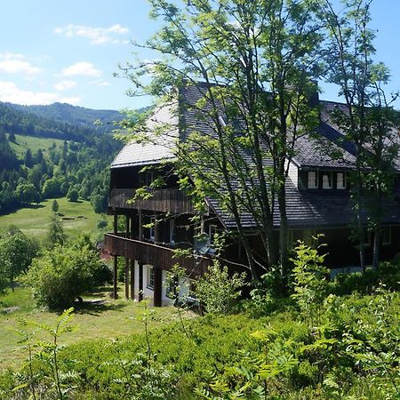 Familien-Sportappartements Wetzel Menzenschwand-Hinterdorf Dış mekan fotoğraf
