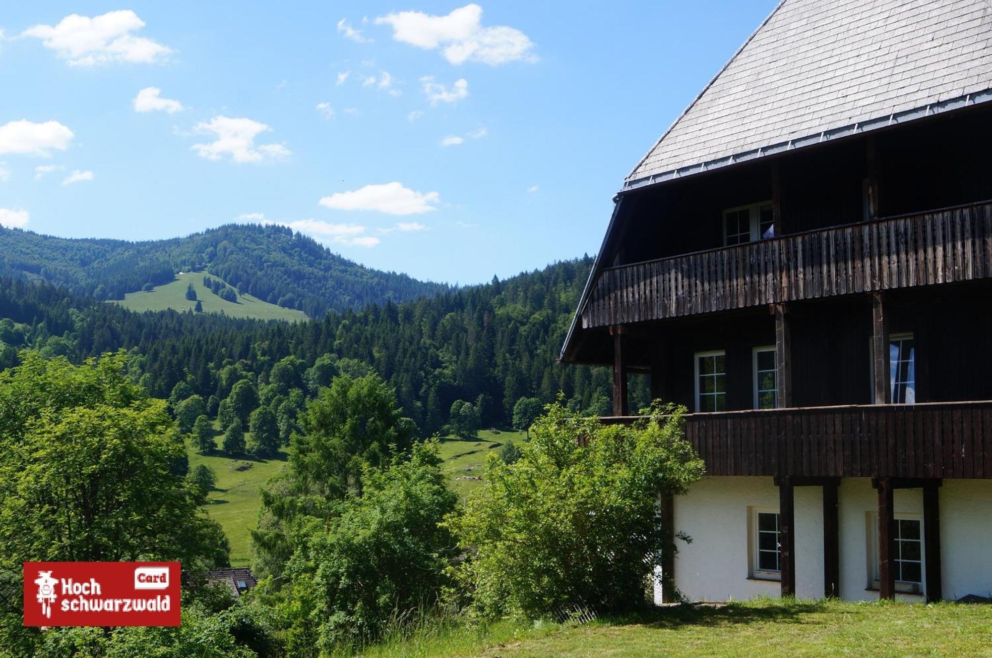 Familien-Sportappartements Wetzel Menzenschwand-Hinterdorf Dış mekan fotoğraf