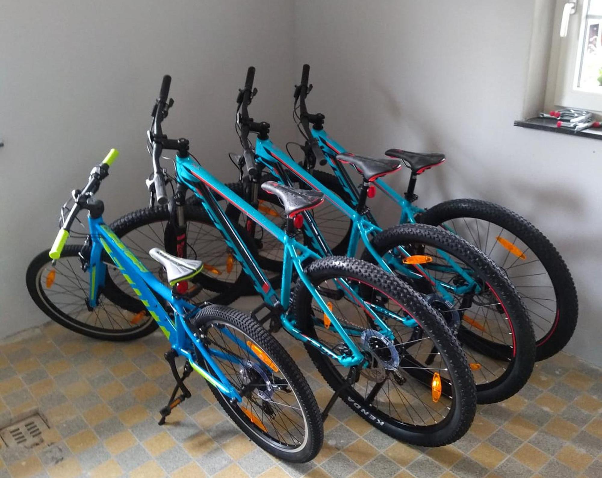Familien-Sportappartements Wetzel Menzenschwand-Hinterdorf Dış mekan fotoğraf