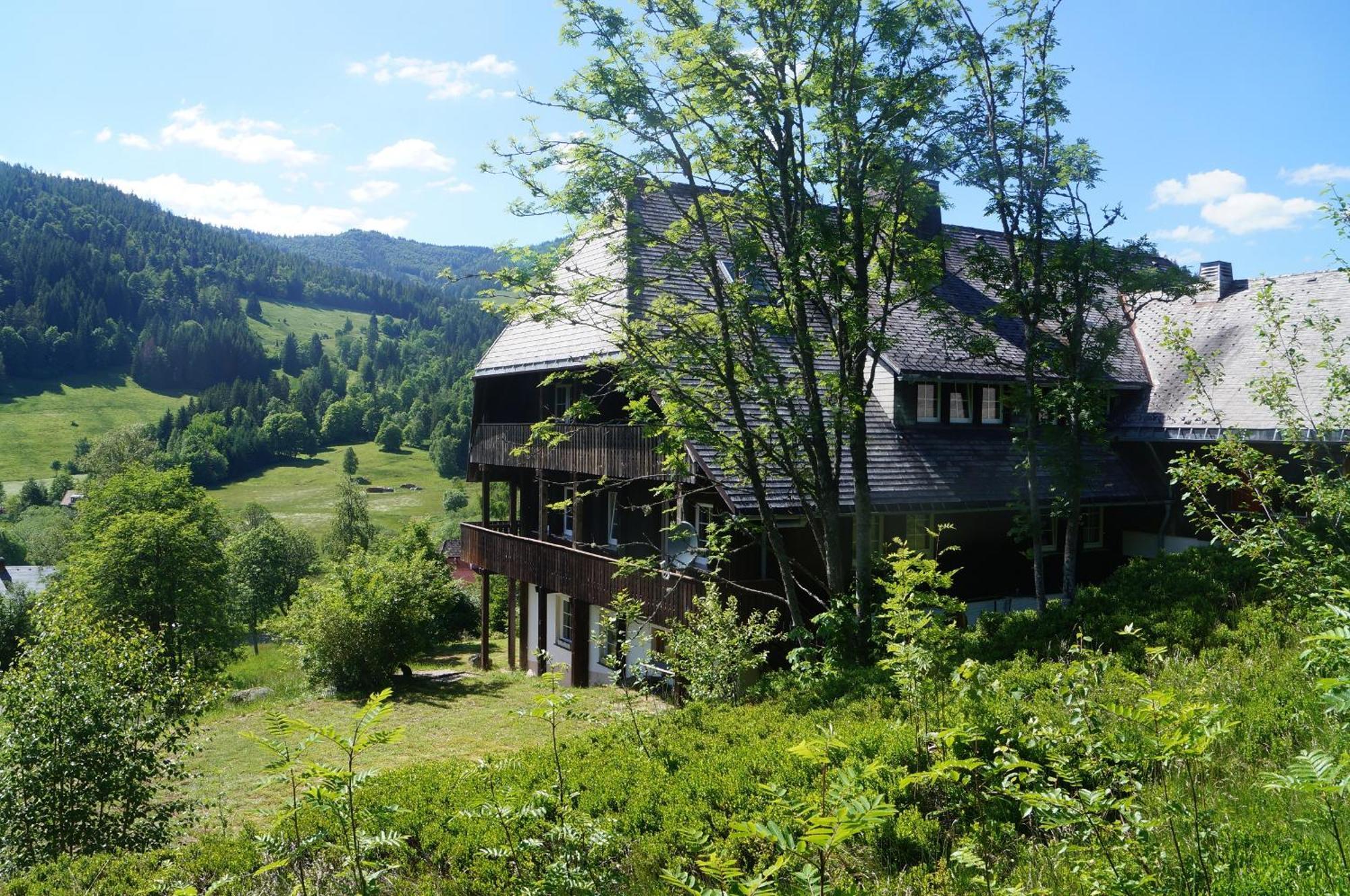Familien-Sportappartements Wetzel Menzenschwand-Hinterdorf Dış mekan fotoğraf