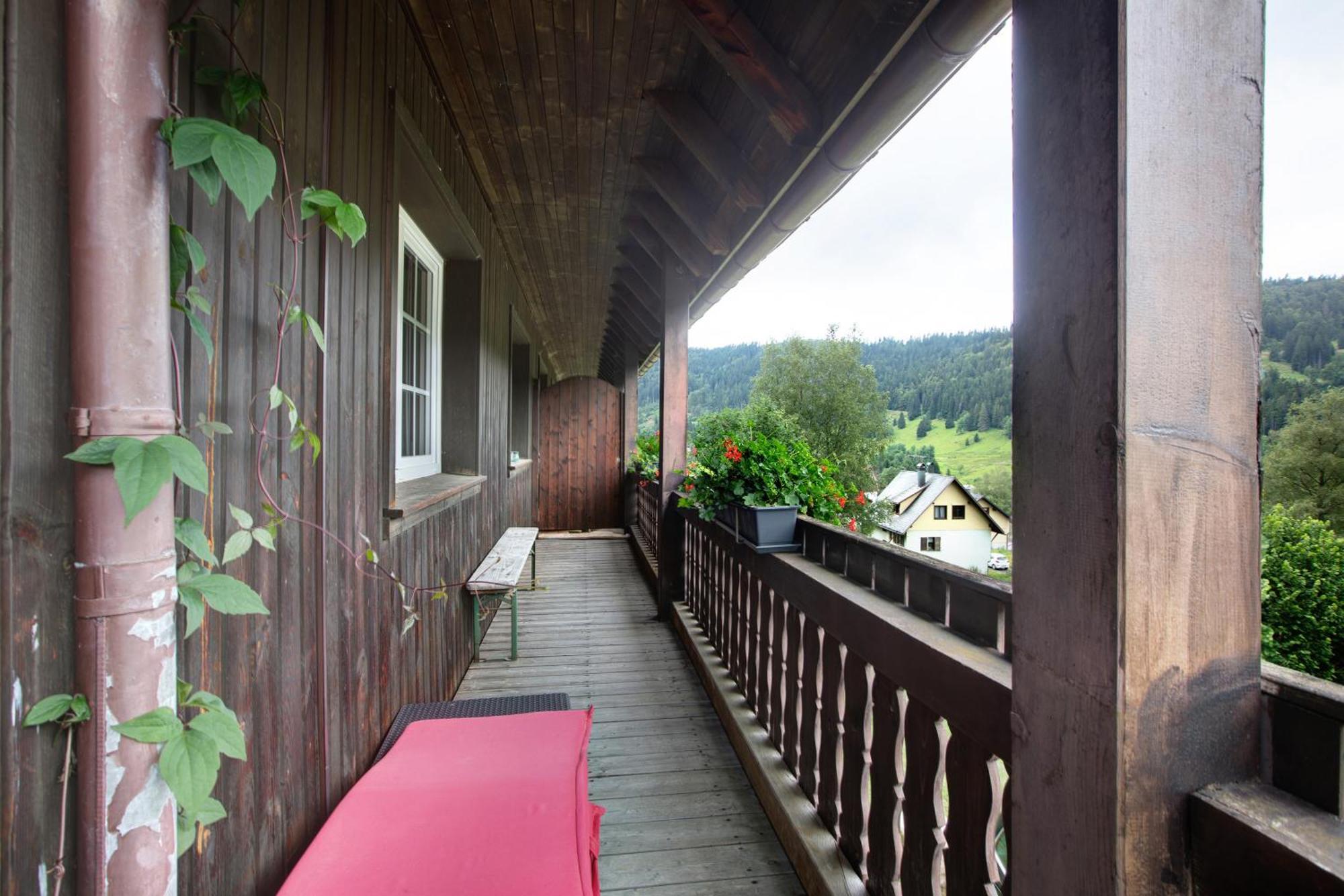 Familien-Sportappartements Wetzel Menzenschwand-Hinterdorf Dış mekan fotoğraf