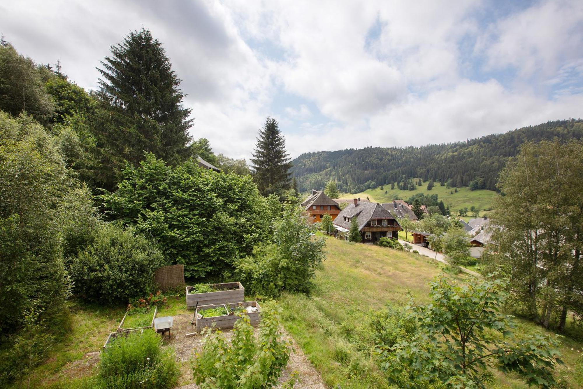Familien-Sportappartements Wetzel Menzenschwand-Hinterdorf Dış mekan fotoğraf