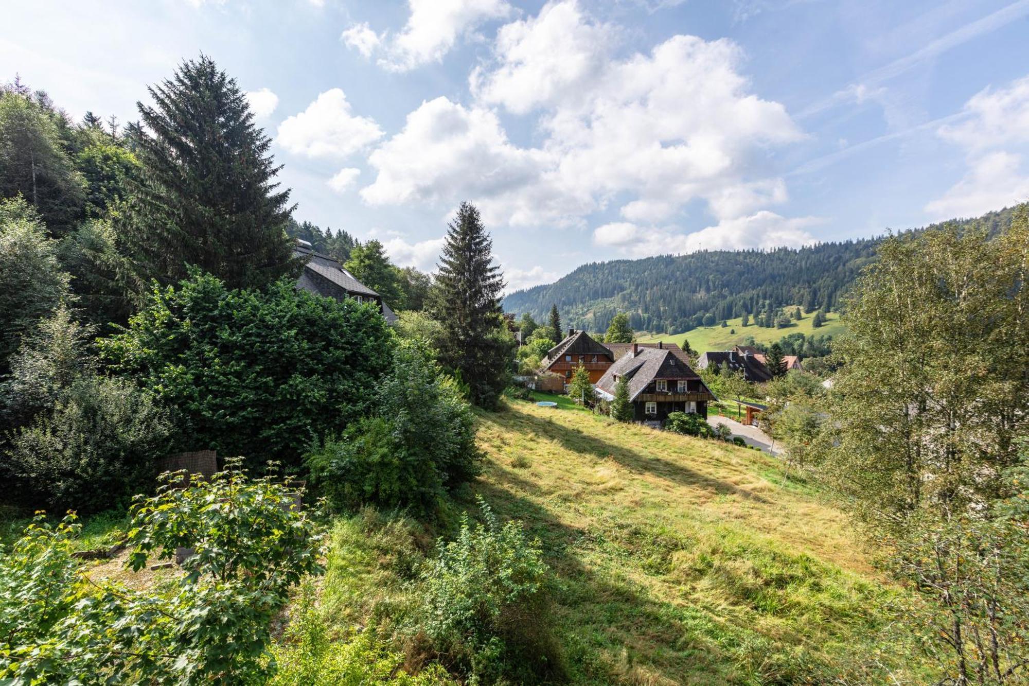 Familien-Sportappartements Wetzel Menzenschwand-Hinterdorf Dış mekan fotoğraf
